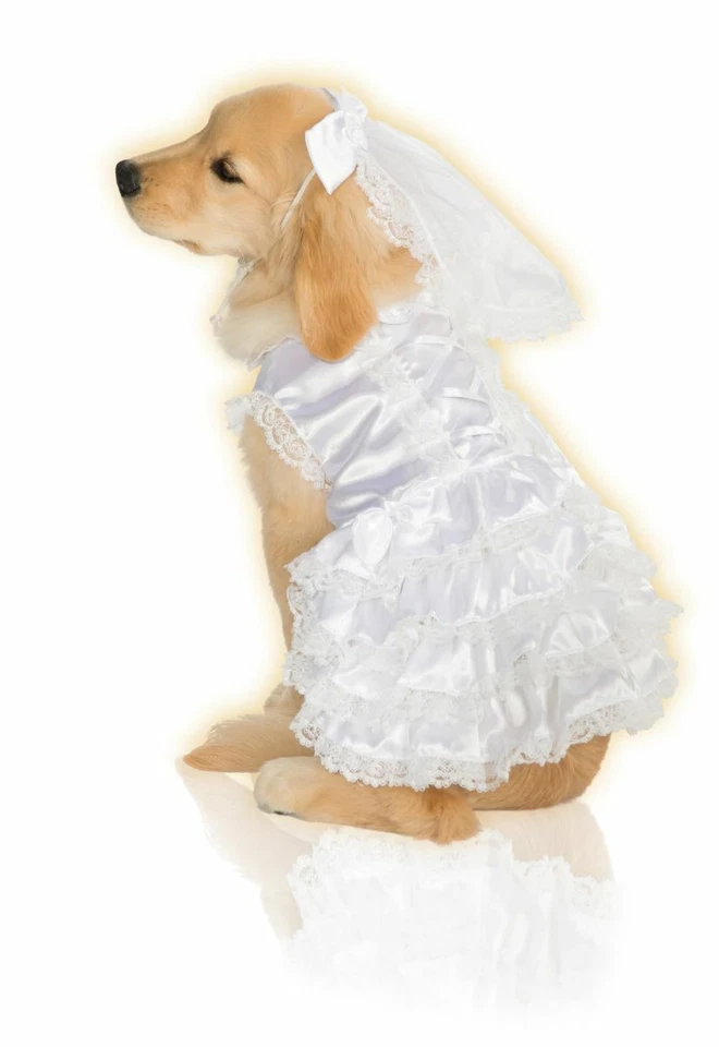 Rubie's Pet Shop Bride Costume  - Image 1 of 1