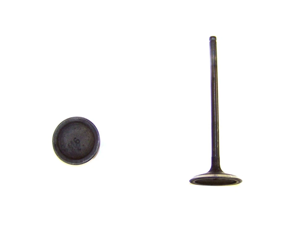 08-15 SE ADAPTA A ACURA TSX HONDA ACUERDO 2.4 DOHC L4 16V NUEVAS VÁLVULAS DE ADMISIÓN 8 CADA UNA Foto 1 de 1