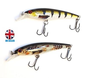 2xSet Bodecin Minnow Fishing Lure Hard Artificial Bait 3D Eyes 11 cm 12 G Vobler - Picture 1 of 5