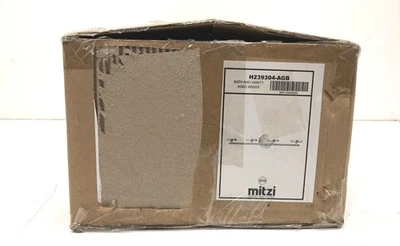 Mitzi Ryan 4 光老年黄铜梳妆灯透明磨砂玻璃灯罩 — 第 1/3 张图片