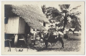1910 Guam, Marianen - ECHTFOTO Vater & Söhne auf Ochsen - Vintage Postkarte - Bild 1 von 2