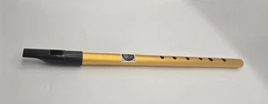 Flute Gold Color Beginner - Picture 1 of 3