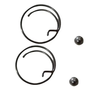 Kit de reparación de portabrocas para conductor con resorte + bola N078434 N089668 (2 juegos) - Imagen 1 de 11