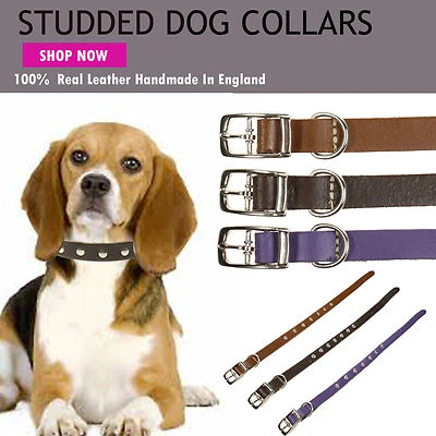Dog Metal Studded Small Puppy Cat 100% Real Leather Collar Handmade In England - Image 1 of 2