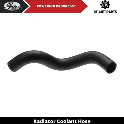 Manguera de refrigerante de radiador de gas V6 de 3,8 L para Jeep Wrangler 2007-2011 puertas inferiores 2008 Foto 1 de 4