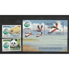 1992 LESOTHO FAUNA UCCELLI 2 VALORI + BF MNH MF71480