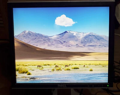 Dell 1707FPt 17" LCD Monitor DVI VGA  Great Condition w/Rotating Stand - READ - Image 1 of 4