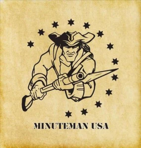 Minuteman EC3000RT2UNC UPS Online 3kVA/2700W 2U Rack/Tower w/SNMP - Picture 1 of 1