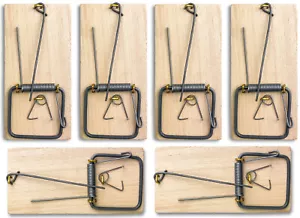 6x Mausefalle Schlagfalle Holz Mäusefalle Köderfalle - Bild 1 von 3
