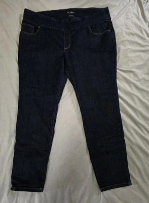 Lee Womens Plus Size Sculpting Slim Fit Skinny Leg Pull-On Jean 26W Medium Black - Image 1 of 3