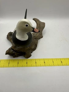 C.W. Waterfield handgeschnitzter alter Squaw-Duck Lockvogel signiert 11/10 wunderschön - Bild 1 von 9