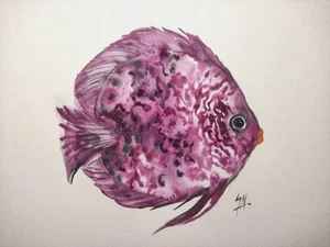 Aquarell Bild " Fisch Diskus pink " minimalistisches Unikat Format A4 - Bild 1 von 1