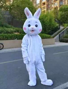 Easter Mascot Costume Cartoon Rabbit Cosplay Parade Adult Fancy Dress - Picture 1 of 3