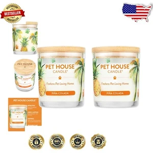 Experience Island Vibes with Pina Colada Soy Candles for Homes with Pets - 60hr - Picture 1 of 12