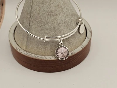 Alex Ani June Birthstone Swarovski Lite Amythest Crystal Charm Bangle Silver💖 - Image 1 of 4