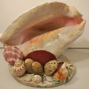 Escultura artesanal vintage de yeso concha marina 7,5 pulgadas coral caracola grande - Imagen 1 de 18