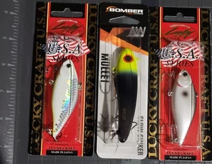 Lot Of 3 Fishing Lures. Lucky Crafts And Bomber Mullet Slow Sinker. New - Picture 1 of 2