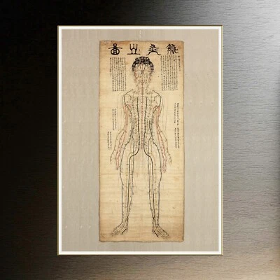 Puntos de ventosas de tabla de acupuntura Foto 1 de 4