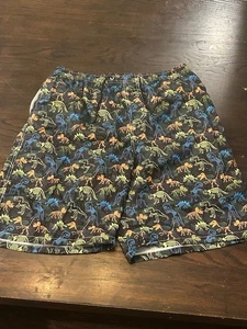 Men’s Dinosaur Print Swim Trunks XL Mesh Liner Quick Dry Summer Shorts NEW - Picture 1 of 1