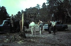 Orig Slide, Dec 1964, Two Vintage Pick-up Trucks / Autos - Crowd meet in Woods - Picture 1 of 1