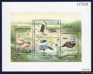 Hoja de recuerdo de sello de aves acuáticas de pato de Tailandia 1996 S#1700a MNH PERFECTO FRESCO - Imagen 1 de 1