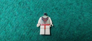 1x LEGO® Harry Potter™ Figuren Minifigur Viktor Krum™ Shark Hai hp068 - Picture 1 of 2