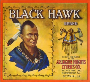 *Original* BLACK HAWK Riverside Indian Warrior Orange Crate Label KEINE KOPIE! - Bild 1 von 1