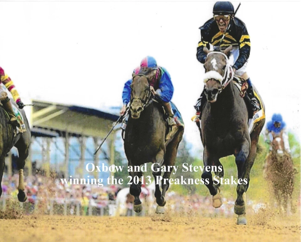 2013 - OXBOW ganando las apuestas Preakness - 10" x 8" Foto 1 de 1