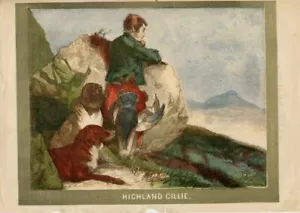 HIGHLAND GILLIE; SCOZIA, RAGAZZO CON CANI, CACCIA, 1858 - Foto 1 di 1