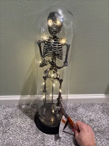 Skeleton Light Up Halloween Tabletop Decor 18.5” New - Picture 1 of 8