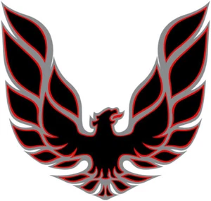 Trans Am Eagle Red Decal ~ Vinyl Car Wall Sticker - Small to XLarge - Picture 1 of 1