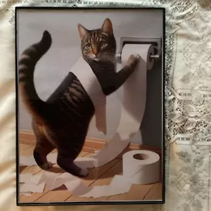 12x16 framed canvas picture of Tabby cat unrolling the TP - Picture 1 of 1