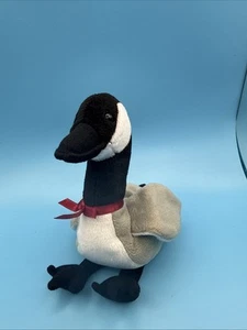 Ty: Beanie Babies- Loosy The Goose (1998) bin4 - Imagen 1 de 6