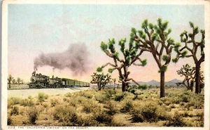 Vintage Train Postcard AZ Limited Desert Joshua Tree Detroit Pub Photostint - Picture 1 of 3