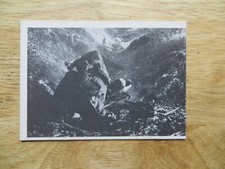 1964 VINTAGE DONRUSS WWII COMBAT TV SHOW GUM CARD # 52 PRISON CAMP ESCAPE