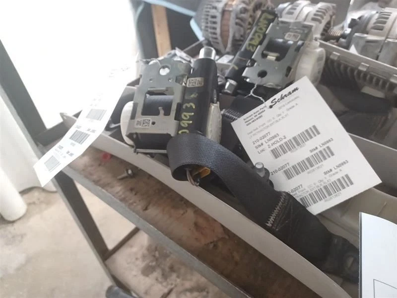 Cinturón de seguridad delantero derecho pasajero ZV681X9AJ para Dodge Caravan 14-20 2613623 Foto 1 de 4