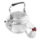 Stainless Steel Kettle with Infuser and Filter - 0.8L Silver Vintage Teapot-RO