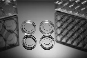Piatto di coltura cellulare inferiore in vetro (sterile, 15 mm, TC, 10/pk, 200/cs) - Foto 1 di 2