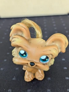 Littlest Pet Shop #6 marrón yorkshir - Imagen 1 de 4