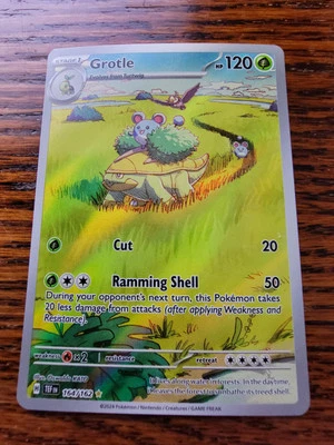 NM Grotle 164/162 Sv05: Temporal Forces Holo - Image 1 of 2