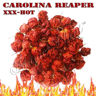 Carolina Reaper Peppers - Whole Dry Reaper Pepper Pods - High Quality (5 sizes) - Image 1 of 4