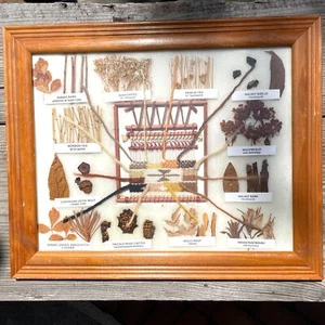 Display Diarama Navajo 12 Natural Plant Dyes Rug Colors Loom Weaving Vintage - Picture 1 of 4