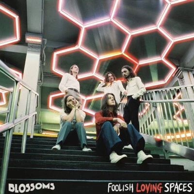 Blossoms -  Foolish Loving Spaces   CD  - New & Sealed - Image 1 of 4