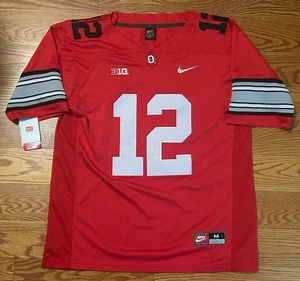 NWT! Nike Ohio State Buckeyes Cardale Jones 2015 National Championship Jersey M - Picture 1 of 8