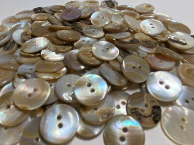 VERY RARE NATURAL/BROWN WASHIBODO SHELL BUTTON 11mm 15mm 20mm 23mm 25mm - Image 1 of 4