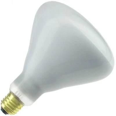 Industrial Performance 250 Watt BR40 Shatter Resistant Clear Heat Lamp - Image 1 of 2