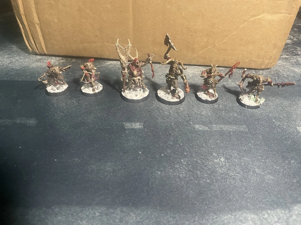 Warhammer Warcry Age Of Sigmar Beast Of Chaos Beastmen Warband Lot - Image 1 of 1