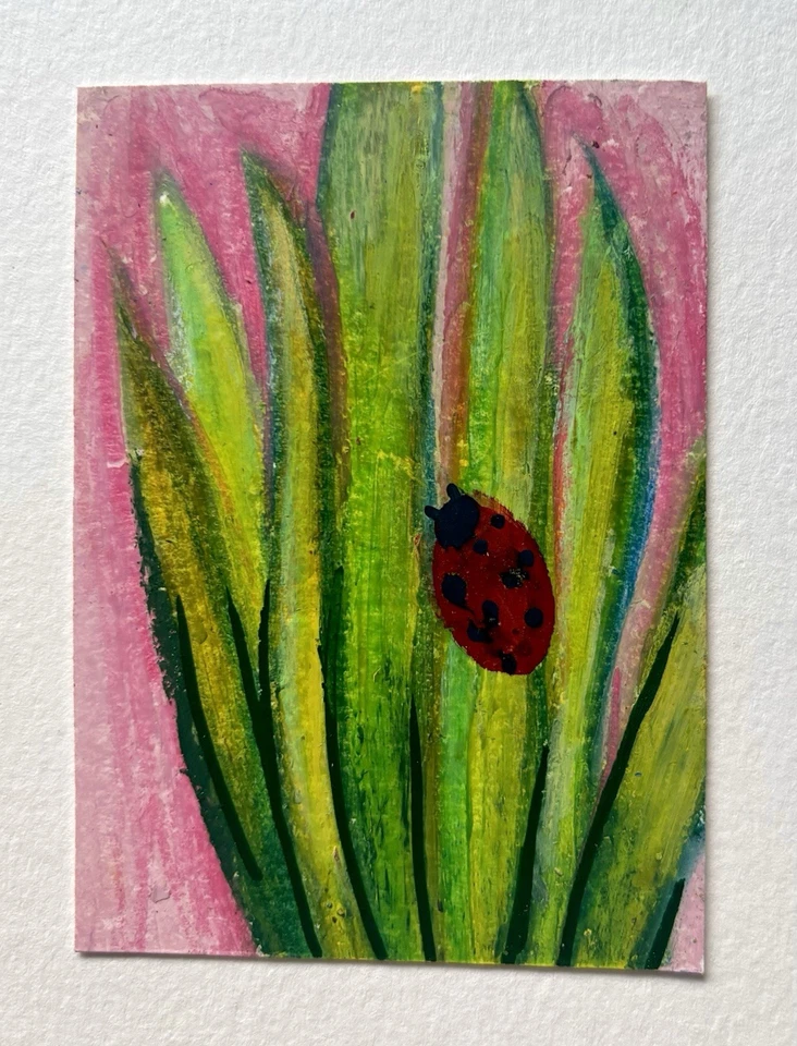 Pintura Original ACEO Planta Insecto Naturaleza Ladybug Óleo Pastel Hacer_Algo Foto 1 de 1