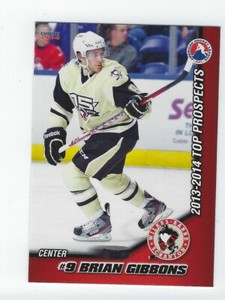 2012-13 AHL Top Prospects #47 Brian Gibbons (ERC Ingolstadt)