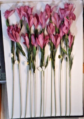 12件花卉茎28英寸-30英寸双百合花开花包裹线固定展示 — 第 1/4 张图片